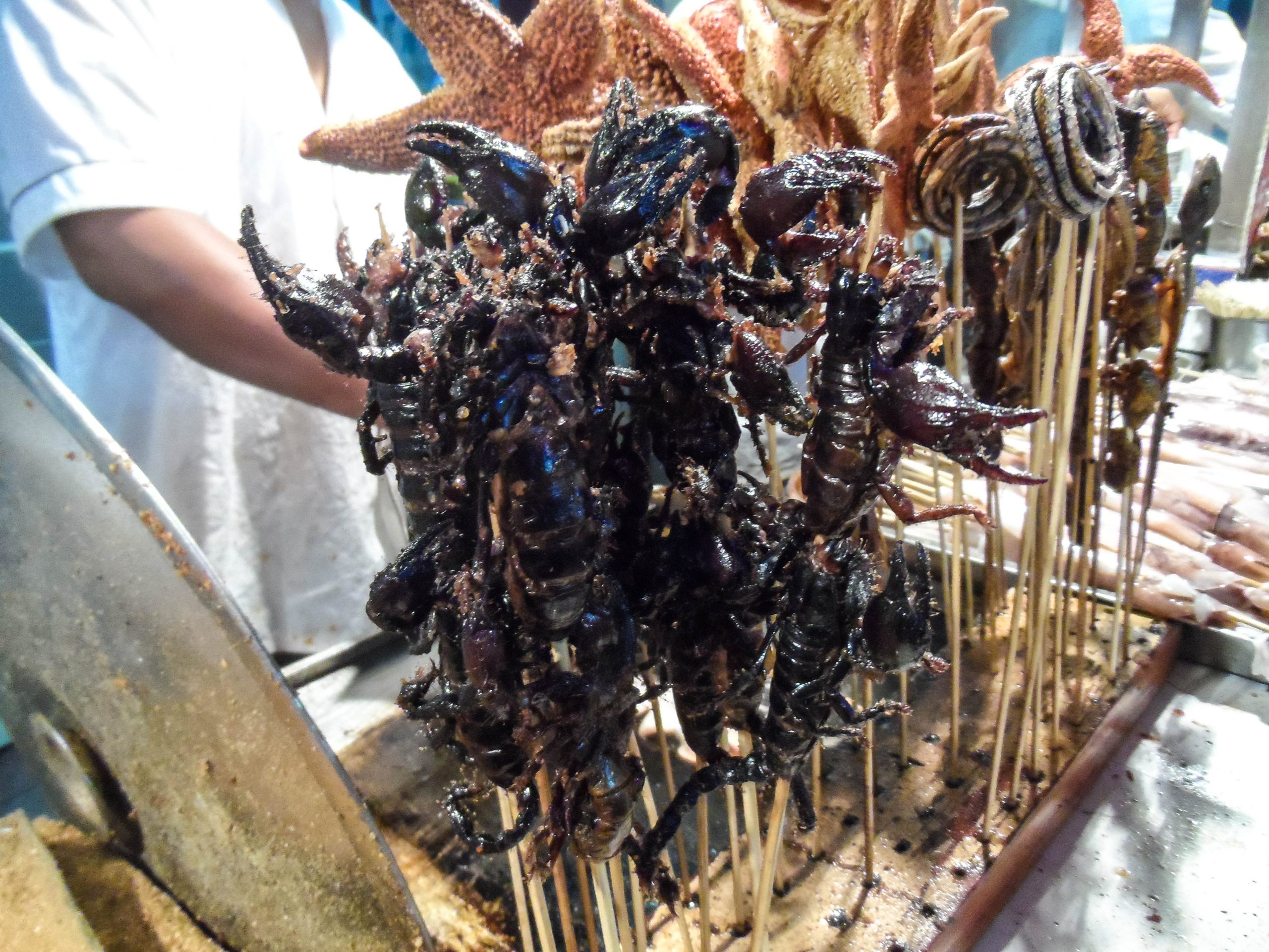 Scorpion street snack on 王府井
