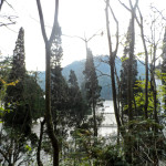 Trees in the foreground with HongFu lake in the background